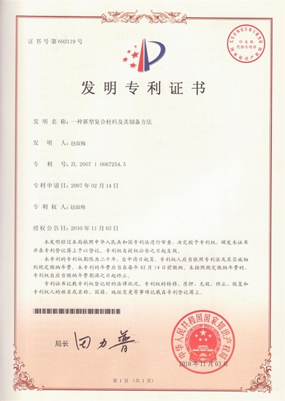 中国专利 - 副本