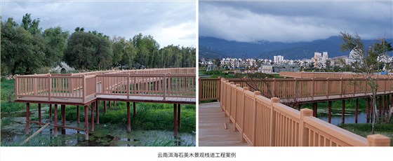 云南洱海石英木景观栈道工程案例