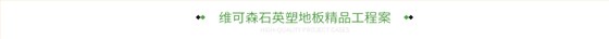 维可森石英塑地板精品工程案