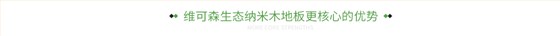 维可森生态纳米木地板更核心的优势 维可森生态纳米木地板更核心的优势