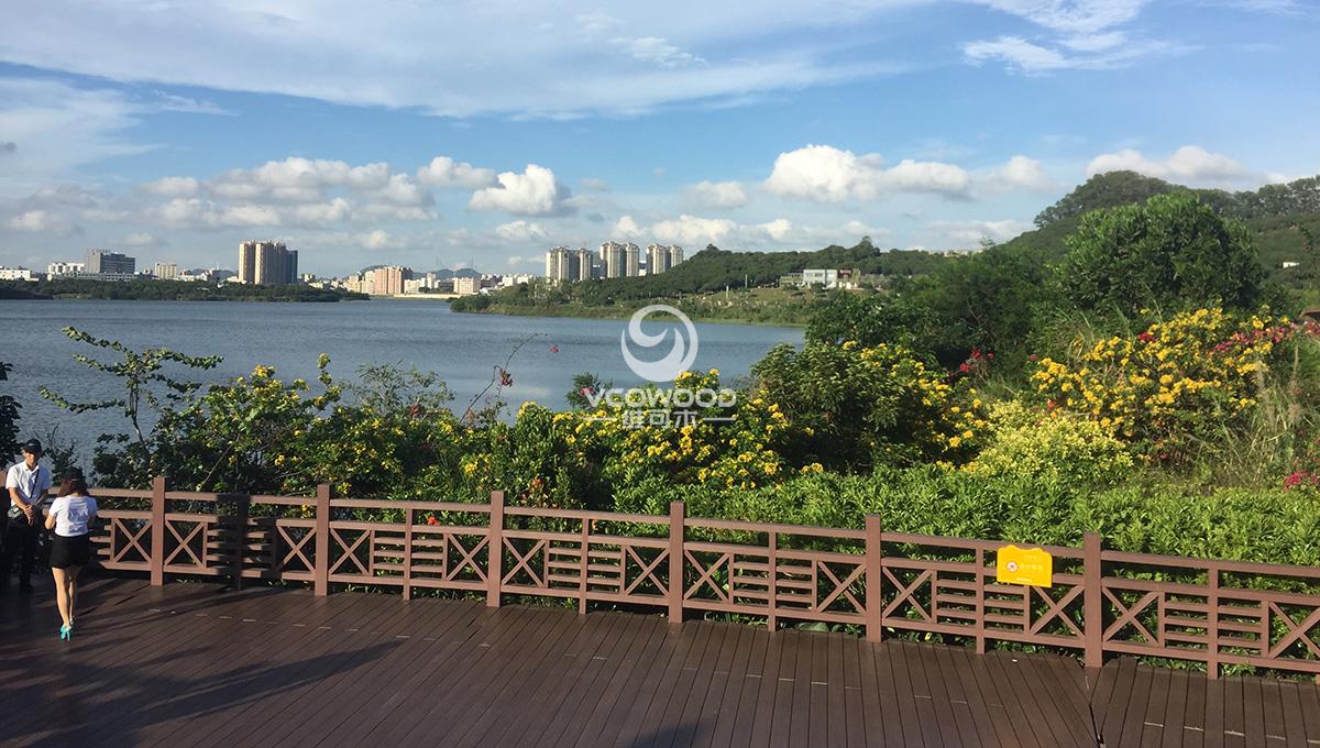 深圳立新湖公园木塑栈道 (1)