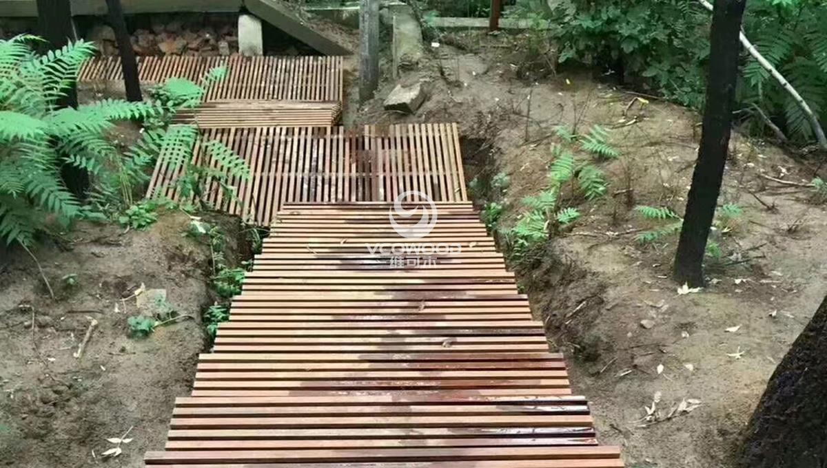 湖南凤凰山重竹木栈道 (3)
