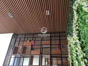 今年绿可木吊顶多少钱一平方