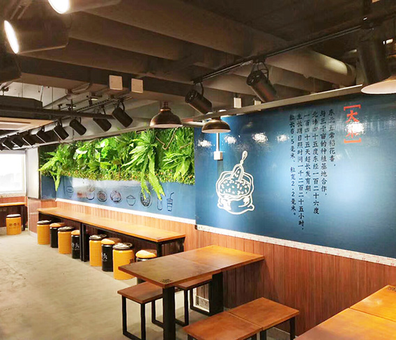 深圳倔骨头餐饮连锁绿可木精装