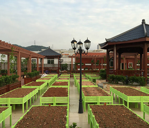 深圳苗木培养基地塑木廊架