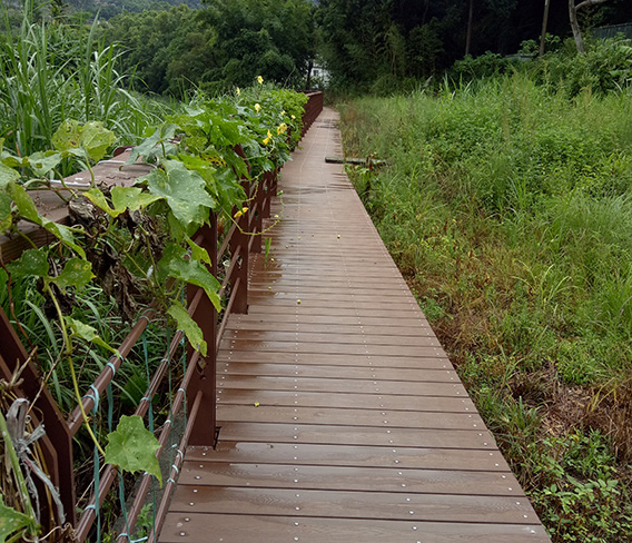 台湾佳仁山纳米木栈道